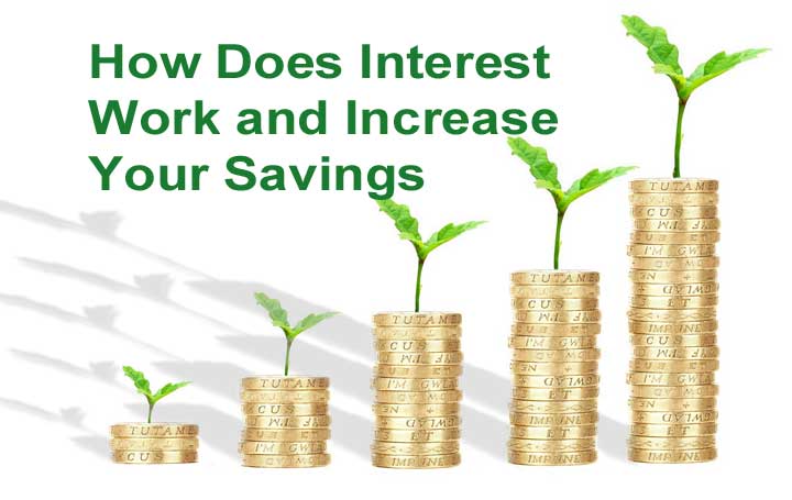 How does Interest Work and Increase Your Savings